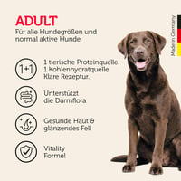 MERA Pure Sensitive Bárány és Rizs száraz kutyatáp érzékeny emésztésű kutyáknak – gluténmentes, 12,5 kg 3