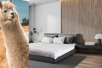 Luksuzni poplun od merino vune i alpaka vune 140x200 cm za jednu osobu za sva godišnja doba 2