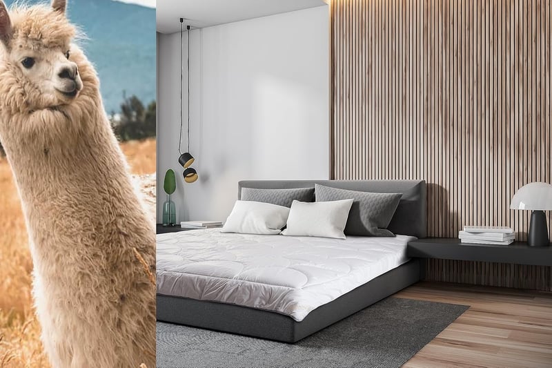 Merino Wool Luxus Alpaka Gyapjú Paplan 140x200 cm Egyszemélyes Minden Évszakra