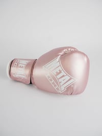 Metal Boxe Initiation bokszkesztyű - rózsaszín - 10 oz 6