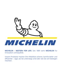 Set 2 capre pentru mașină Michelin, capacitate 2000 kg, înălțime reglabilă, cu mecanism cu cremalieră, structură din oțel 8