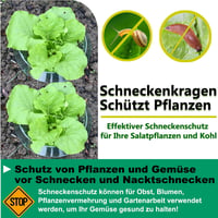 VDYXEW Megerősített Csigavédő Gallér Saláta és Káposzta Növényekhez - Vegyszermentes Csigariasztó Védelem (68g/db) - Pack of 20 7