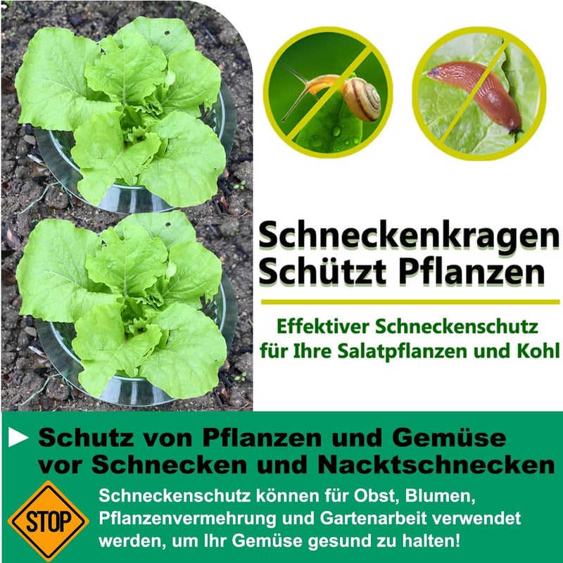VDYXEW Megerősített Csigavédő Gallér Saláta és Káposzta Növényekhez - Vegyszermentes Csigariasztó Védelem (68g/db) - Pack of 20