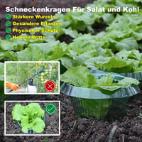 VDYXEW Megerősített Csigavédő Gallér Saláta és Káposzta Növényekhez - Vegyszermentes Csigariasztó Védelem (68g/db) - Pack of 20 6