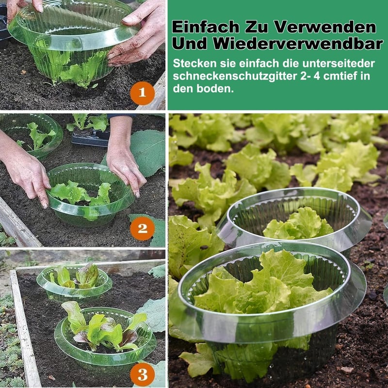 VDYXEW Megerősített Csigavédő Gallér Saláta és Káposzta Növényekhez - Vegyszermentes Csigariasztó Védelem (68g/db) - Pack of 20