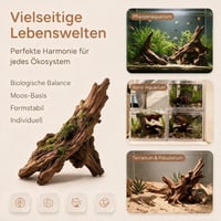 Mirenko Set 4 Bucăți Lemn Natural pentru Acvariu – Decor din Lemn Real pentru Acvariu și Terariu – Rădăcini ca Ascunzători pentru Reptile, Creveți și Paludariu 6