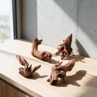 Mirenko Set 4 Bucăți Lemn Natural pentru Acvariu – Decor din Lemn Real pentru Acvariu și Terariu – Rădăcini ca Ascunzători pentru Reptile, Creveți și Paludariu 8