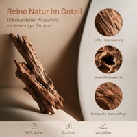 Mirenko Set 4 Bucăți Lemn Natural pentru Acvariu – Decor din Lemn Real pentru Acvariu și Terariu – Rădăcini ca Ascunzători pentru Reptile, Creveți și Paludariu 4