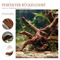 Mirenko Set 4 Bucăți Lemn Natural pentru Acvariu – Decor din Lemn Real pentru Acvariu și Terariu – Rădăcini ca Ascunzători pentru Reptile, Creveți și Paludariu 7