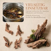 Mirenko Set 4 Bucăți Lemn Natural pentru Acvariu – Decor din Lemn Real pentru Acvariu și Terariu – Rădăcini ca Ascunzători pentru Reptile, Creveți și Paludariu 5