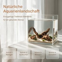 Mirenko Set 4 Bucăți Lemn Natural pentru Acvariu – Decor din Lemn Real pentru Acvariu și Terariu – Rădăcini ca Ascunzători pentru Reptile, Creveți și Paludariu 3