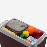 Ladă frigorifică electrică Mobicool Mirabelle MM24 DC, 21 litri, 12V, pentru mașină și camion - Ladă frigorifică termoelectrică, vișinie 3