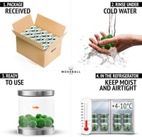 Mossball shop 21 db Marimo Moha Golyó Akvárium Növény Díszítő Vízi Növény Cladophora Aegagropila 1-2 cm Valódi Moha Labda 8