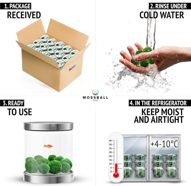 Mossball shop 21 db Marimo Moha Golyó Akvárium Növény Díszítő Vízi Növény Cladophora Aegagropila 1-2 cm Valódi Moha Labda