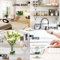Mossball shop 21 db Marimo Moha Golyó Akvárium Növény Díszítő Vízi Növény Cladophora Aegagropila 1-2 cm Valódi Moha Labda 3