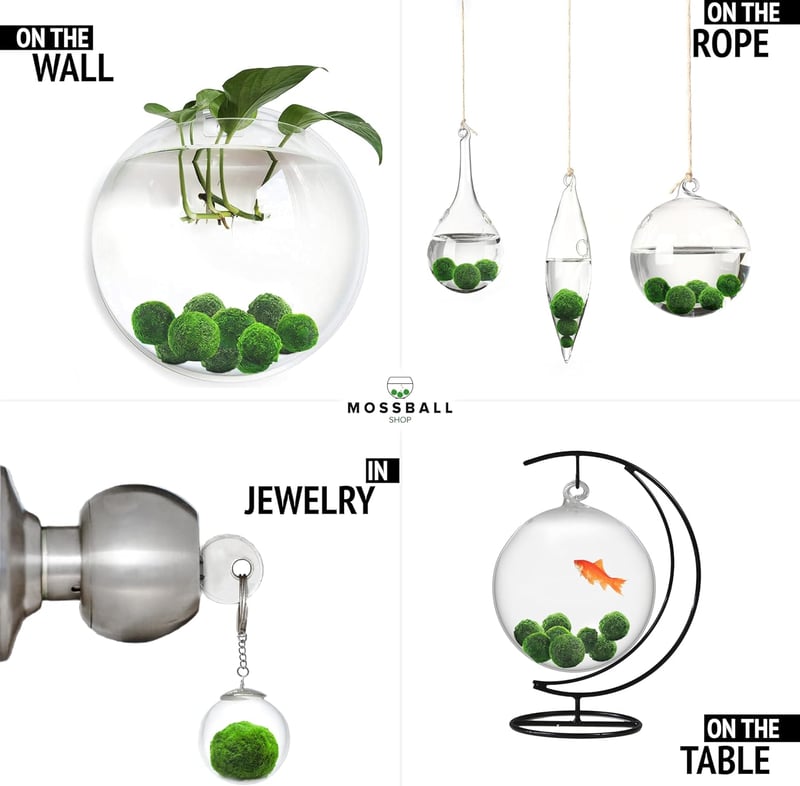 Mossball shop 21 db Marimo Moha Golyó Akvárium Növény Díszítő Vízi Növény Cladophora Aegagropila 1-2 cm Valódi Moha Labda