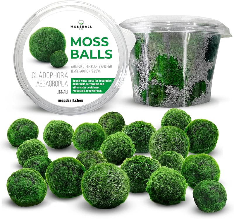Mossball shop 21 db Marimo Moha Golyó Akvárium Növény Díszítő Vízi Növény Cladophora Aegagropila 1-2 cm Valódi Moha Labda