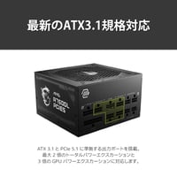 MSI MAG A750GL Napajanje 750W 80 Plus Gold Potpuno modularno ATX 3.0 PCIe 5.0 podrška 120mm FDB ventilator crni ravni kabeli 3