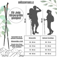 Muawo Összecsukható Nordic Walking Bot 105-135 cm Teleszkopos Szénszálas 6