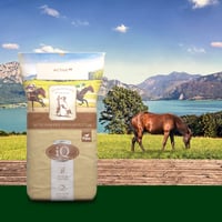 Mühldorfer iQ Active² Hrana za konje bez žitarica 20 kg - Visokoenergetska hrana za sportske i rasplodne konje 7