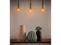 Bec retro LED A60 cu filament Müller-Licht E27, auriu, 4,5W (echivalent 35W), 2000K, lumină albă foarte caldă, nereglementabil 2