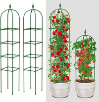 MYMULIKE Set 2 Obeliscuri de Grădină pentru Plante Cățărătoare, Interior și Exterior, Suport pentru Plante din Oțel Inoxidabil de 180 cm, pentru Flori, Legume și Trandafiri 1