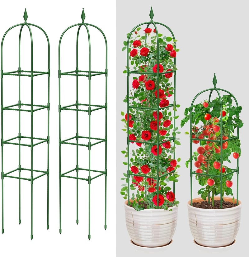 MYMULIKE Set 2 Obeliscuri de Grădină pentru Plante Cățărătoare, Interior și Exterior, Suport pentru Plante din Oțel Inoxidabil de 180 cm, pentru Flori, Legume și Trandafiri