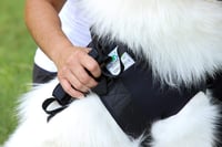 Nature Pet orma za nošenje pasa s prednjim prihvatom – veličina S, crna – za starije, bolesne ili operirane pse, za stepenice i hodanje 9