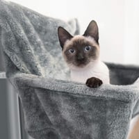 Navaris závesné vyhrievané lehátko na radiátor pre mačky, vankúš na radiátor, pelech s vyhrievacou dekou, sivé 2