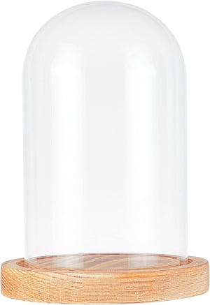 nbeads Clopot decorativ de sticlă cu bază de lemn, vitrină de sticlă transparentă cu tavă, cutie de expunere trandafir etern cu ghirlandă luminoasă, decor pentru tort