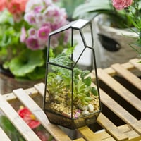 NCYP 19cm Kézműves Üveg Terrarium Prizmás Növénytartó Szukkulens Páfrány Moha Virág Dekoráció 4