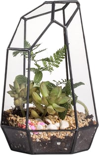 NCYP 19cm Kézműves Üveg Terrarium Prizmás Növénytartó Szukkulens Páfrány Moha Virág Dekoráció 1