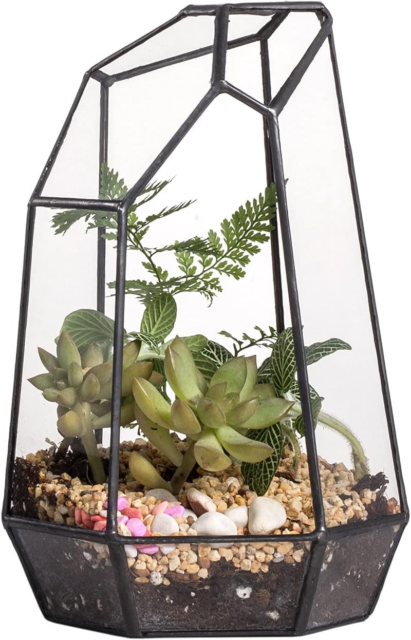 NCYP 19cm Kézműves Üveg Terrarium Prizmás Növénytartó Szukkulens Páfrány Moha Virág Dekoráció