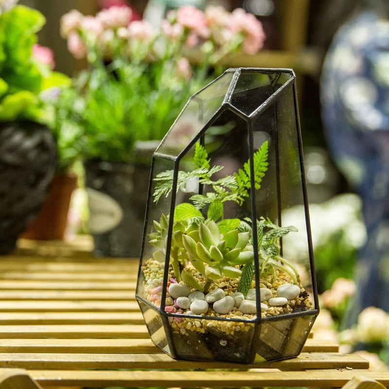 NCYP 19cm Kézműves Üveg Terrarium Prizmás Növénytartó Szukkulens Páfrány Moha Virág Dekoráció