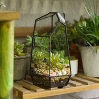 NCYP 19cm Kézműves Üveg Terrarium Prizmás Növénytartó Szukkulens Páfrány Moha Virág Dekoráció 3