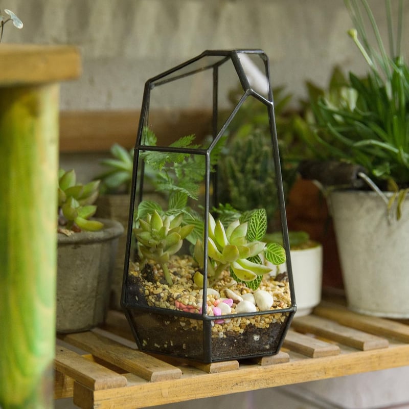 NCYP 19cm Kézműves Üveg Terrarium Prizmás Növénytartó Szukkulens Páfrány Moha Virág Dekoráció