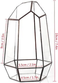 NCYP 19cm Kézműves Üveg Terrarium Prizmás Növénytartó Szukkulens Páfrány Moha Virág Dekoráció 6