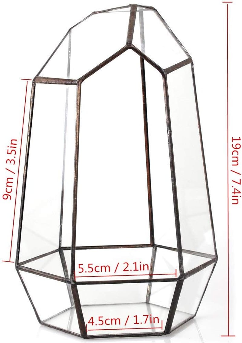 NCYP 19cm Kézműves Üveg Terrarium Prizmás Növénytartó Szukkulens Páfrány Moha Virág Dekoráció