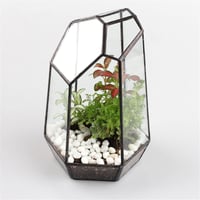 NCYP 19cm Kézműves Üveg Terrarium Prizmás Növénytartó Szukkulens Páfrány Moha Virág Dekoráció 7