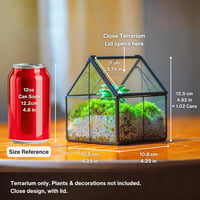NCYP Geometrikus Mini Üveg Terrarium Fekete Fedővel Szukkulensz Növényekhez 3