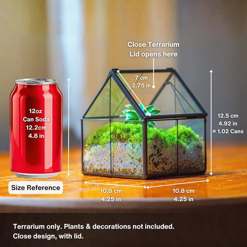 NCYP Geometrikus Mini Üveg Terrarium Fekete Fedővel Szukkulensz Növényekhez
