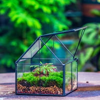 NCYP Geometrikus Mini Üveg Terrarium Fekete Fedővel Szukkulensz Növényekhez 6