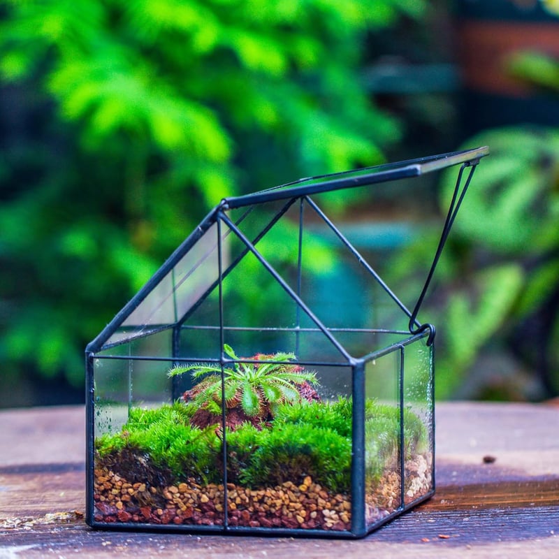 NCYP Geometrikus Mini Üveg Terrarium Fekete Fedővel Szukkulensz Növényekhez