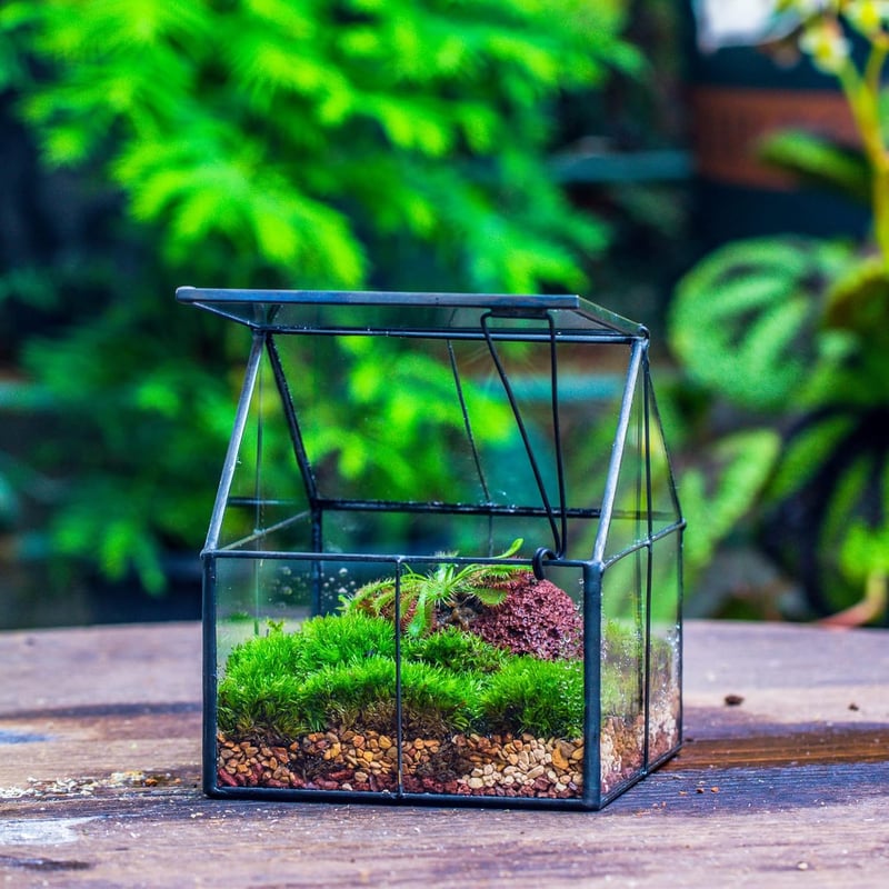 NCYP Geometrikus Mini Üveg Terrarium Fekete Fedővel Szukkulensz Növényekhez
