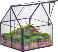 NCYP Geometrikus Mini Üveg Terrarium Fekete Fedővel Szukkulensz Növényekhez 1