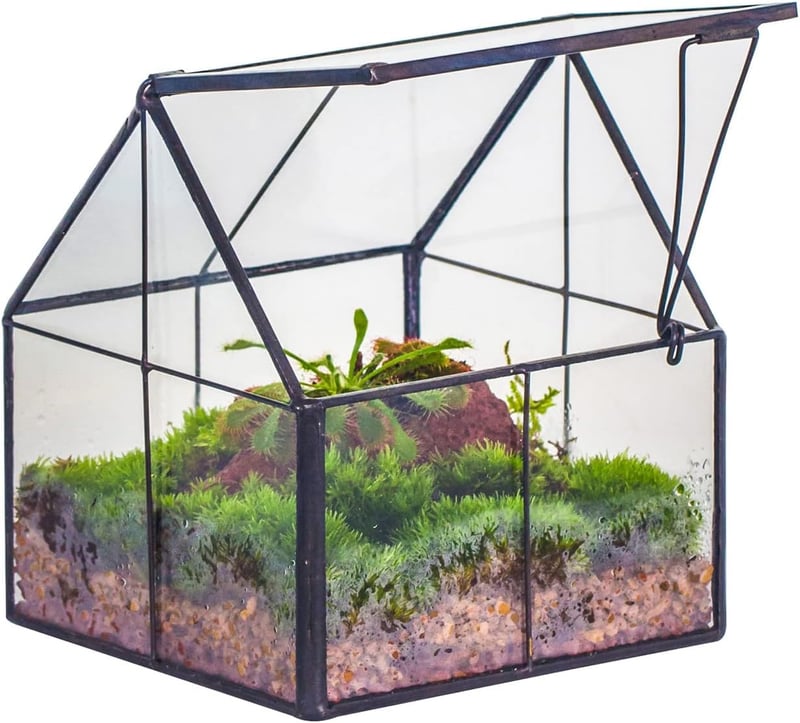 NCYP Geometrikus Mini Üveg Terrarium Fekete Fedővel Szukkulensz Növényekhez