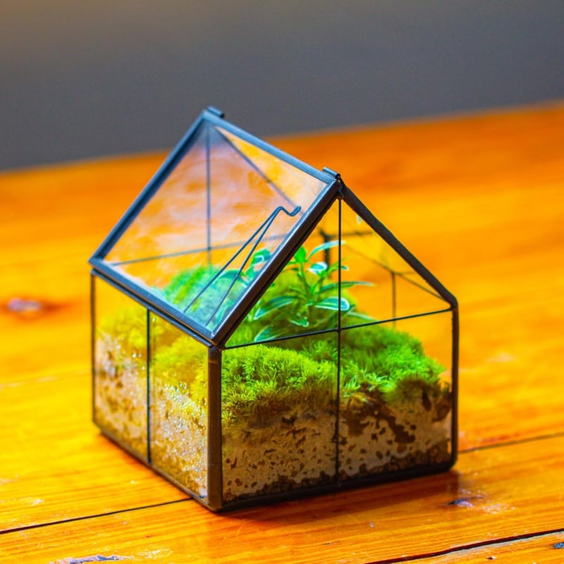 NCYP Geometrikus Mini Üveg Terrarium Fekete Fedővel Szukkulensz Növényekhez
