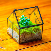 NCYP Geometrikus Mini Üveg Terrarium Fekete Fedővel Szukkulensz Növényekhez 8