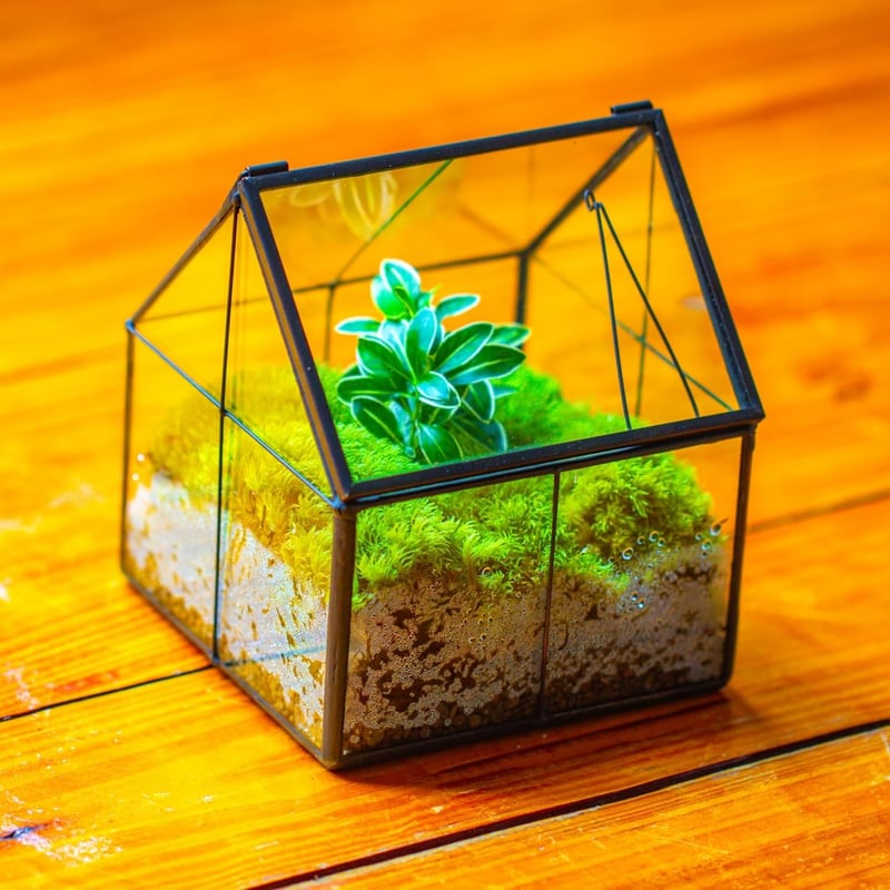 NCYP Geometrikus Mini Üveg Terrarium Fekete Fedővel Szukkulensz Növényekhez