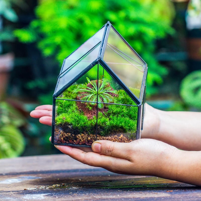NCYP Geometrikus Mini Üveg Terrarium Fekete Fedővel Szukkulensz Növényekhez